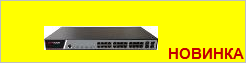 DS-3E2528(B)